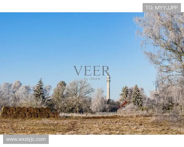 图片报罗斯托克因球迷雪球或被罚